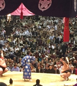 Sumo Bodymaker Colosseum Review Sport Hospitality Ticket