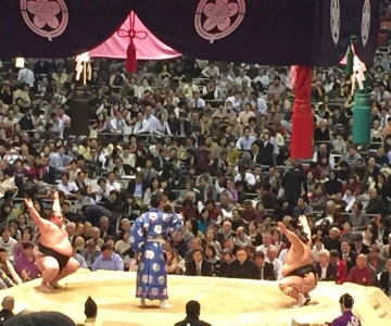 Sumo Bodymaker Colosseum Review Sport Hospitality Ticket